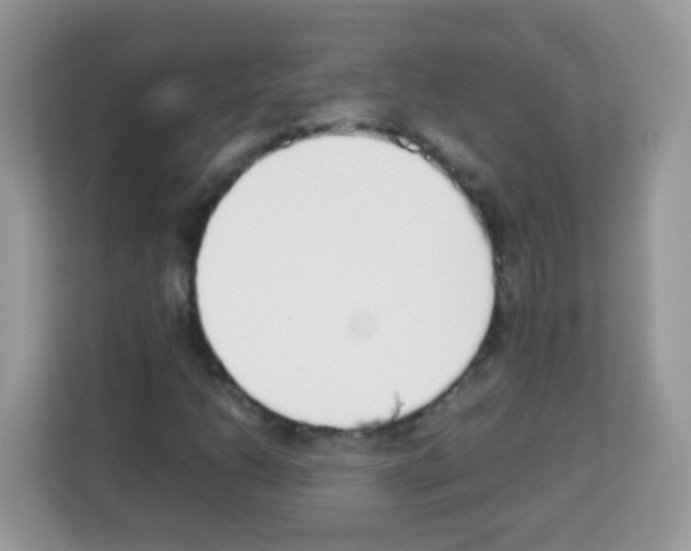 X0000113031206200910081213