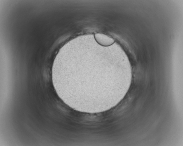 X0000113031207200910081213