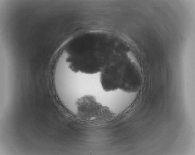 X0000113031208200910081213