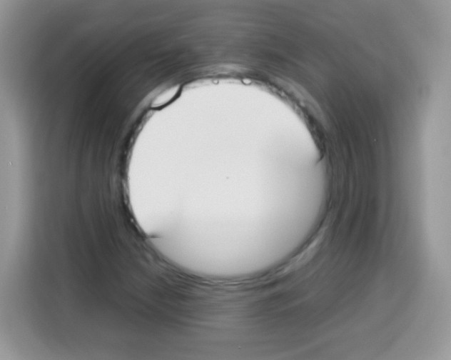 X0000113031210200910081213