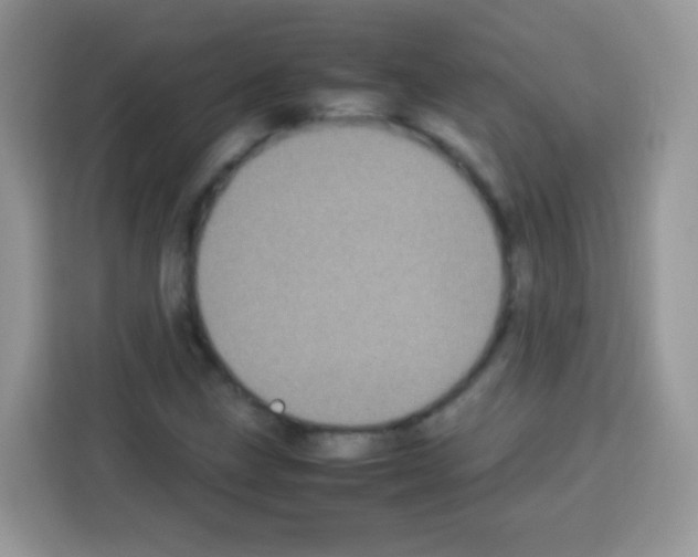 X0000113031211200910081213