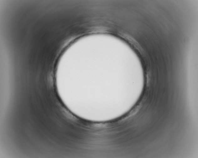 X0000113031212200910081213