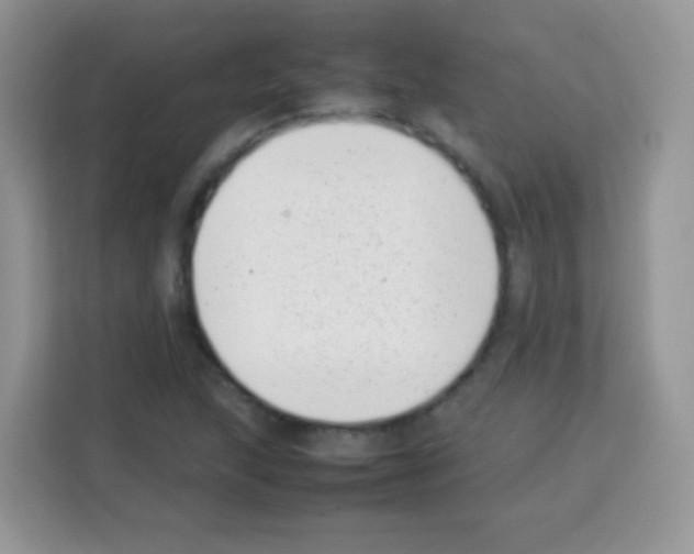 X0000113031215200910081213