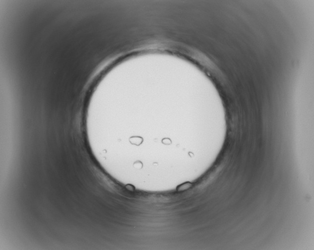 X0000113031216200910081213