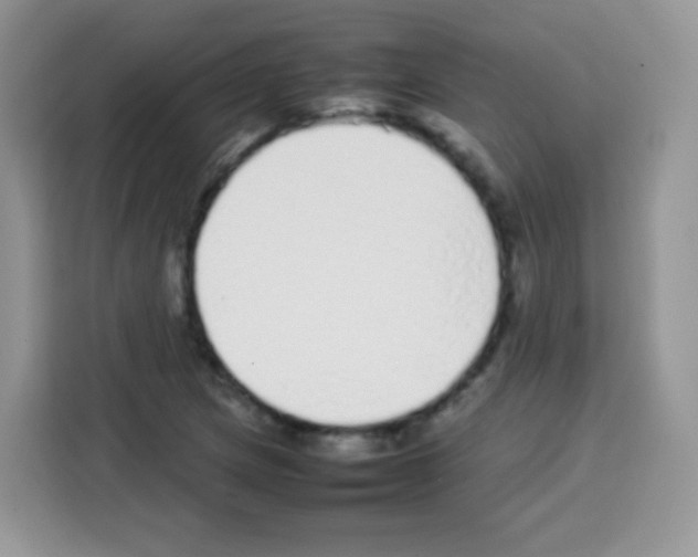 X0000113031217200910081213