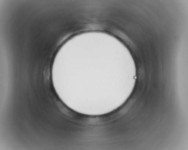 X0000113031220200910081213