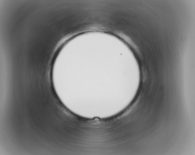 X0000113031222200910081213