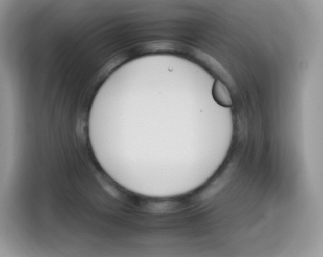 X0000113031225200910081213