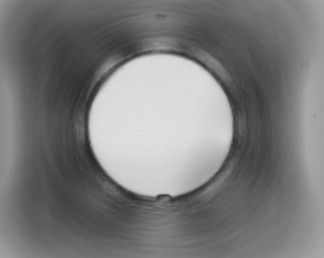 X0000113031226200910081213