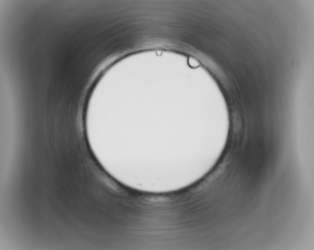 X0000113031230200910081213