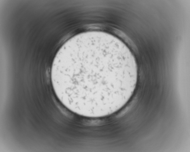 X0000113031233200910081213