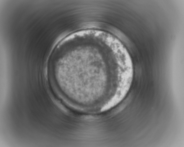 X0000113031234200910081213