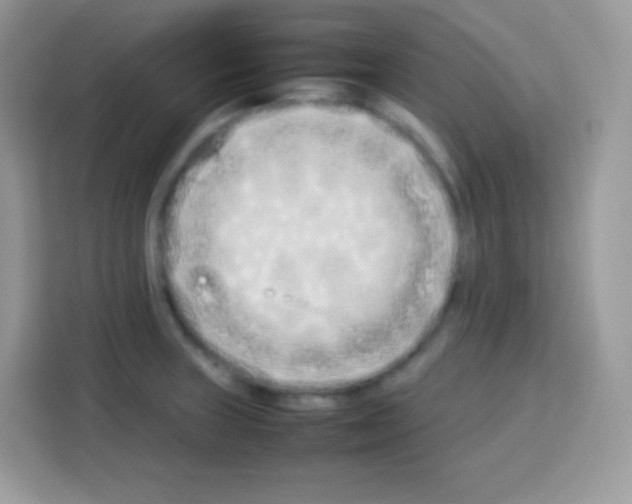 X0000113031235200910081213