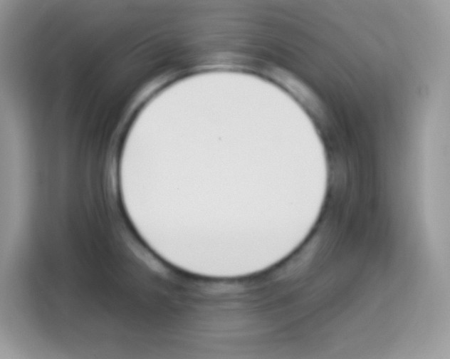 X0000113031238200910081213