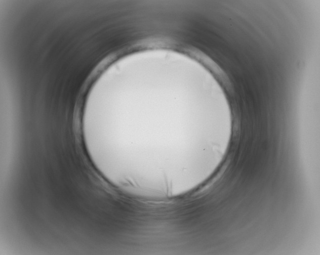 X0000113031240200910081213