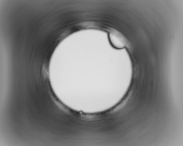 X0000113031241200910081213