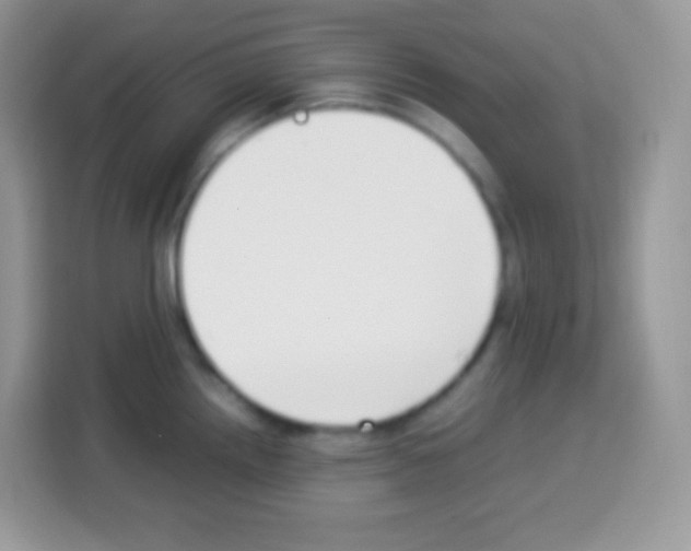 X0000113031242200910081213