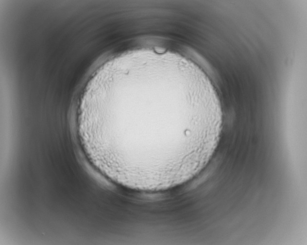 X0000113031243200910081213