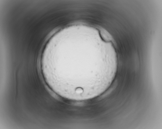 X0000113031245200910081213