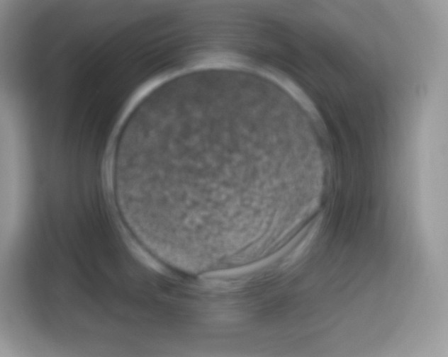 X0000113031246200910081214