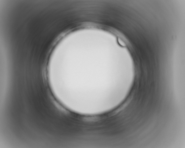 X0000113031247200910081214