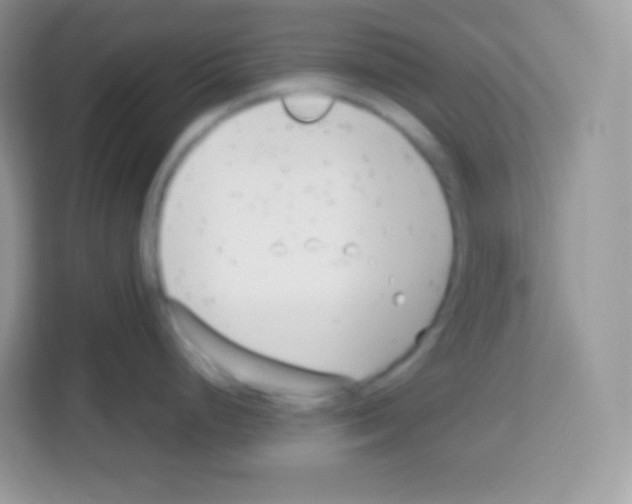 X0000113031248200910081214