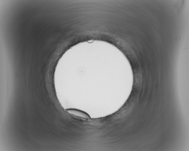 X0000113031249200910081213