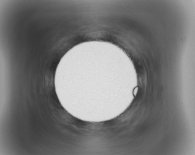 X0000113031251200910081213