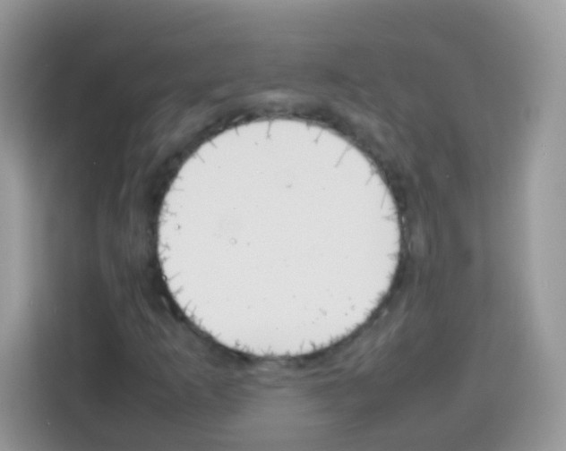 X0000113031253200910081213