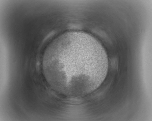 X0000113031254200910081213