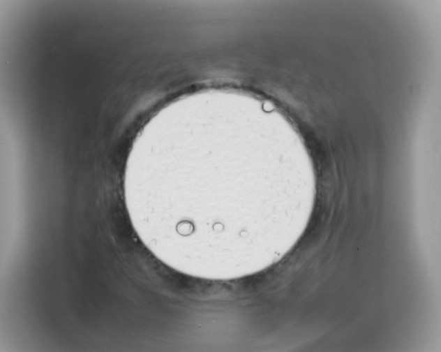 X0000113031255200910081213