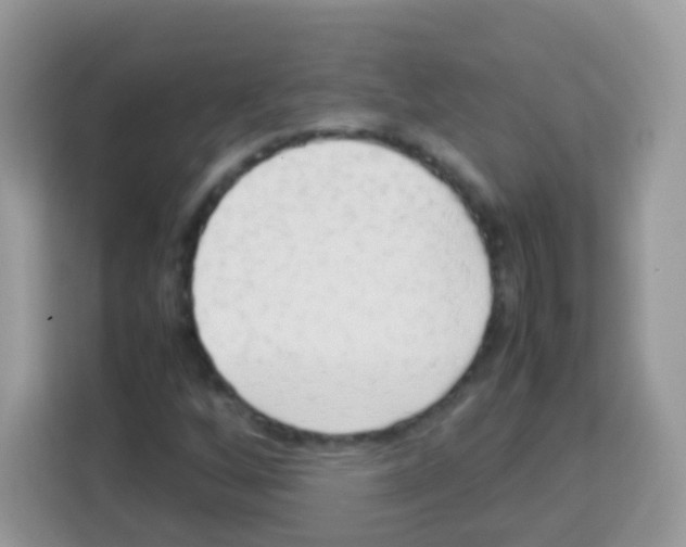 X0000113031256200910081213