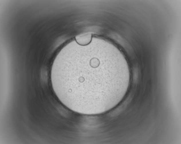 X0000113031258200910081213