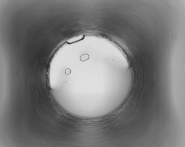 X0000113031260200910081213