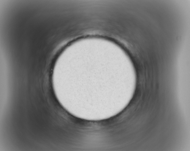 X0000113031263200910081213