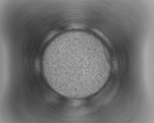 X0000113031266200910081213