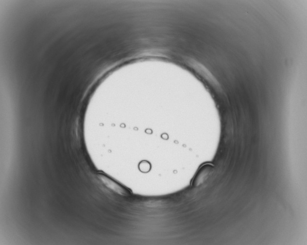 X0000113031268200910081213