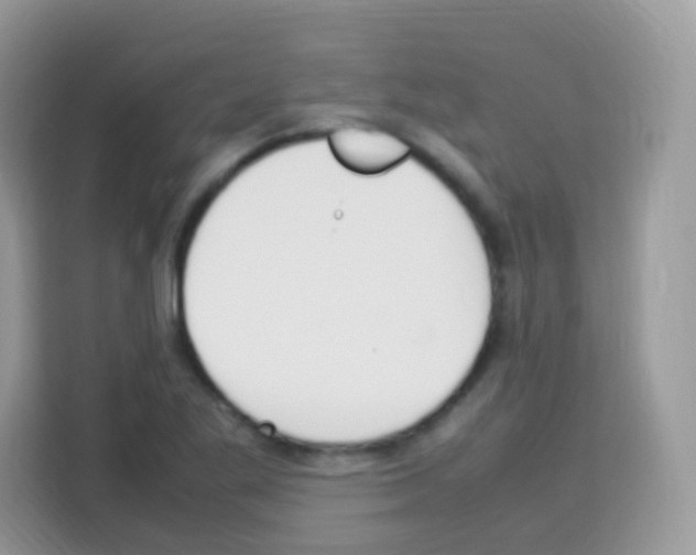 X0000113031269200910081213