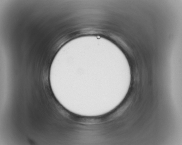 X0000113031273200910081213