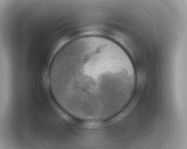 X0000113031274200910081213