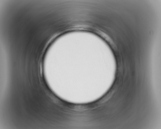 X0000113031275200910081213