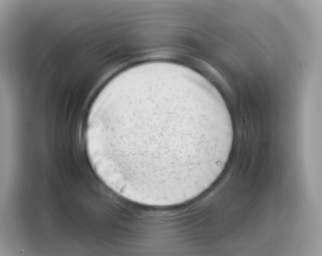 X0000113031276200910081213