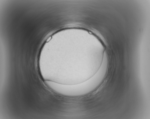 X0000113031277200910081213