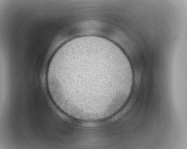 X0000113031278200910081213