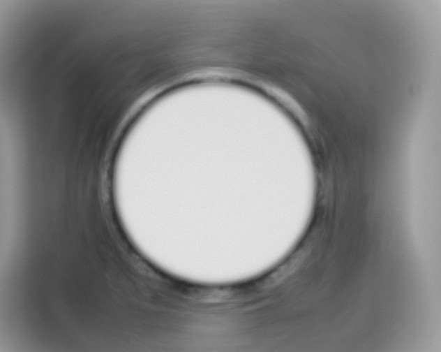 X0000113031279200910081213