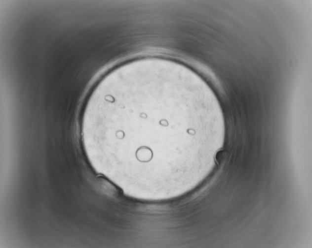 X0000113031280200910081213