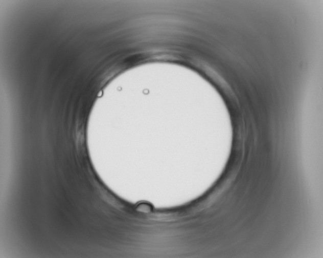 X0000113031281200910081212