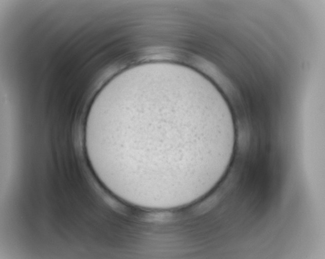 X0000113031282200910081212