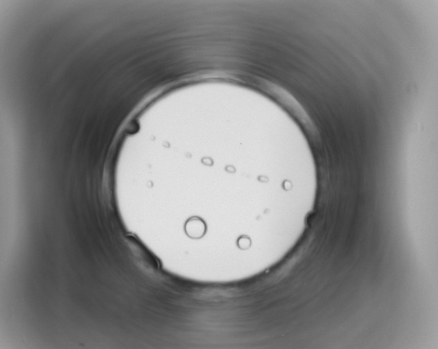 X0000113031284200910081212