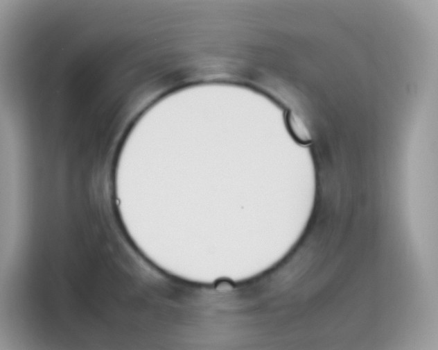 X0000113031285200910081212